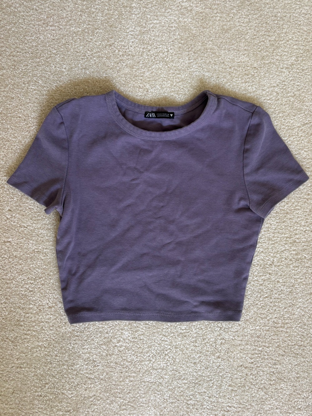 Women’s Purple Ribbed Shorts